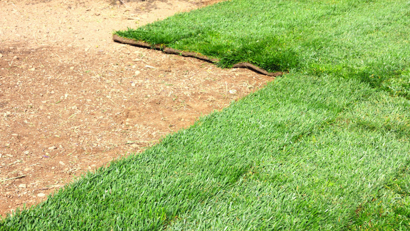 Benefits Of Hiring Professional Lawn Mowers In Houston