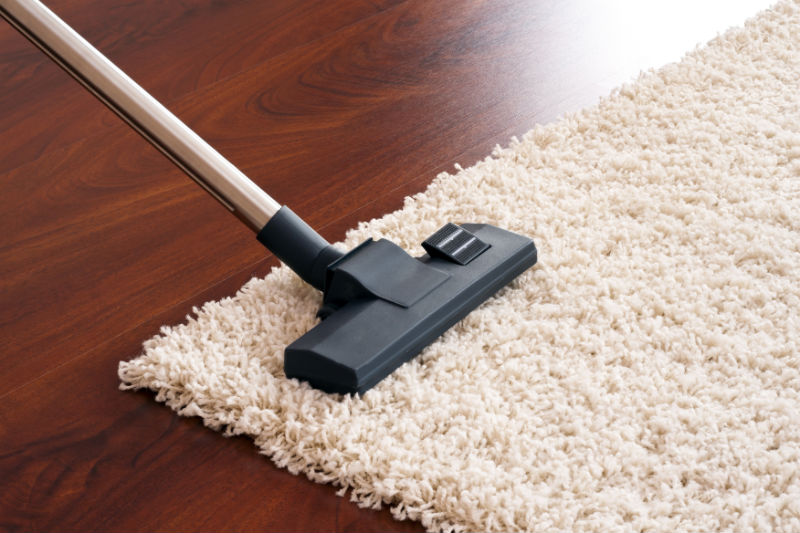 Consider a New Carpet Cleaner in Rio Rancho NM