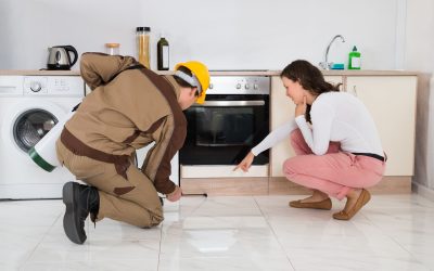 DIY Tips from a Professional Pest Control Company in Minnesota