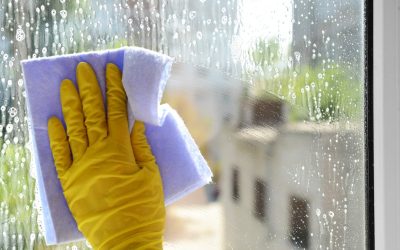 The Role of House Cleaning Services in Oakland, CA, in Modern Living