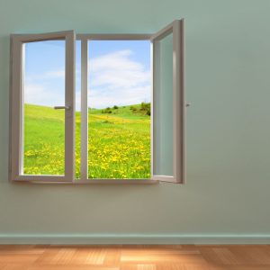 Upgrade Your Home with Professional Window Replacement in Winter Haven FL