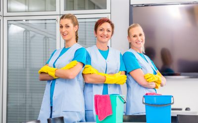 Ensure Safe Airflow with a Dryer Vent Cleaning Expert in Charlotte, NC