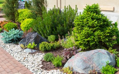 Upgrade Your Home Value With Premier Landscaping Services In Fresno CA