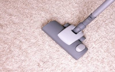 Refresh Your Floors Effortlessly With Help From Best Carpet Cleaners In Stoughton, WI