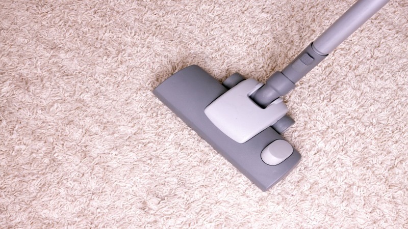 Refresh Your Floors Effortlessly With Help From Best Carpet Cleaners In Stoughton, WI